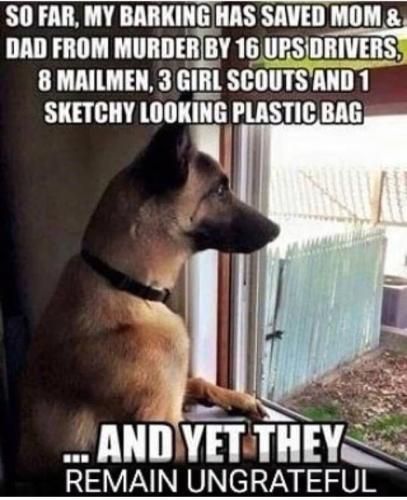 e11de8fb39483e894d4b59b66586c58d