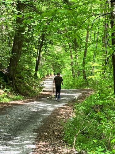 9C1A426A-2EAE-49DE-A2F0-3A5F6C2BDE89