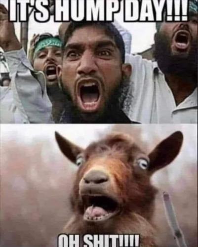 FB_IMG_1710954877004