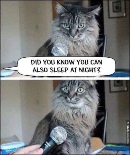 32971747c440d650fb86e101d2eb2a69