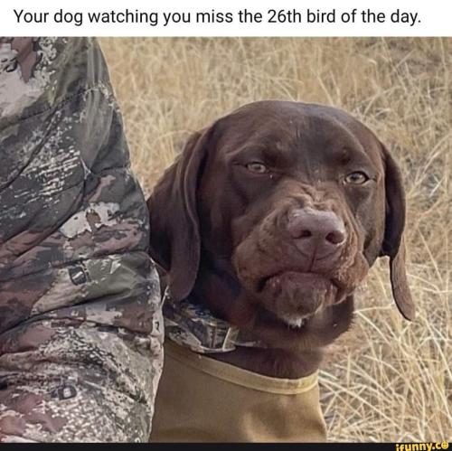 8eed6cbb1541d258c488dfcccff17c610e29391616de9a9564a500ffd237f804_1