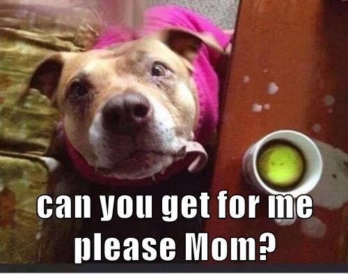please-mom