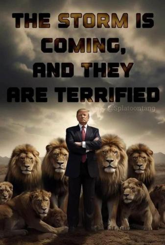 747a7fda0d42c152cd638ba3e25b1f8c