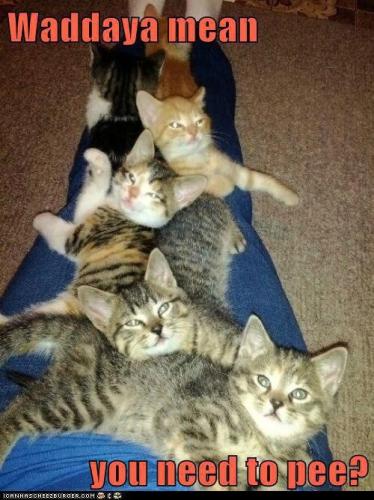 87d7ee77bd7e977f7fc59f52e08f5327