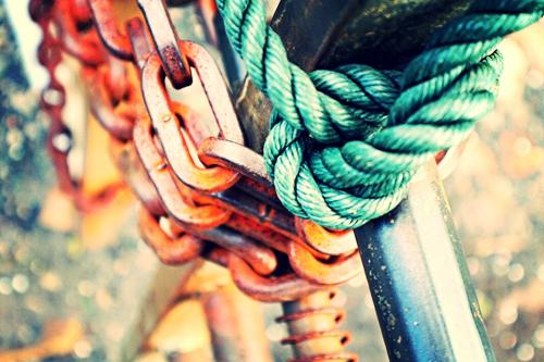 aviary_1434623640649