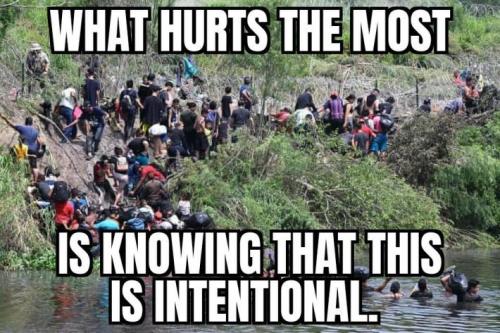 sngine_6c137f098bbc1ef8c7e98d0a0a50f1ba