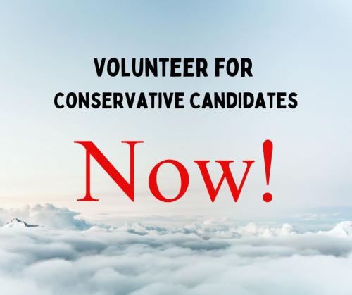 Volunteer for Conservative Candidates