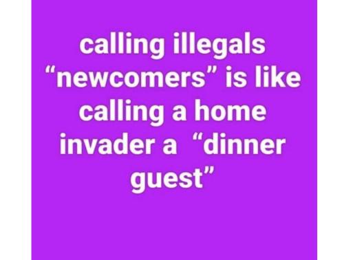 75ca7066-27ed-4bb2-b2d4-1e18c85c52bc_900x682