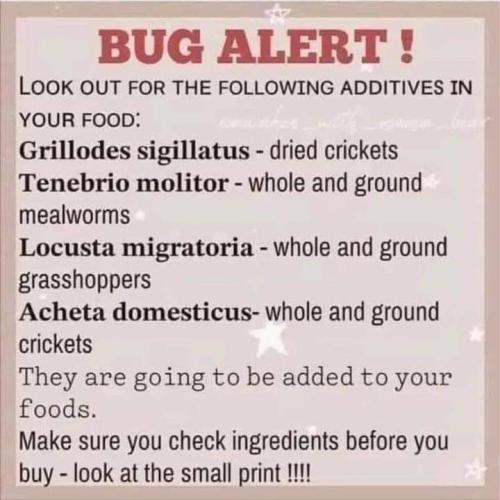 FB_IMG_1710974140485