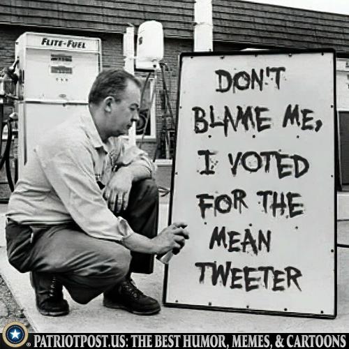 01HQPWJFX169RP4X472EHXS6J0