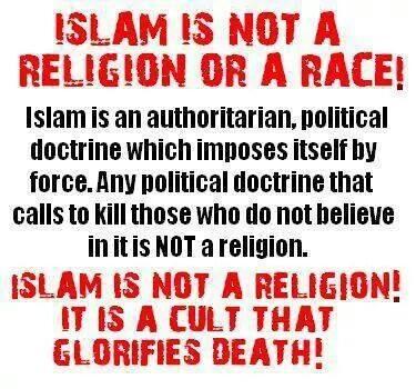 12341587_994634210596397_7960767182101887764_n