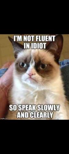 Screenshot_20230615-201308_Gallery