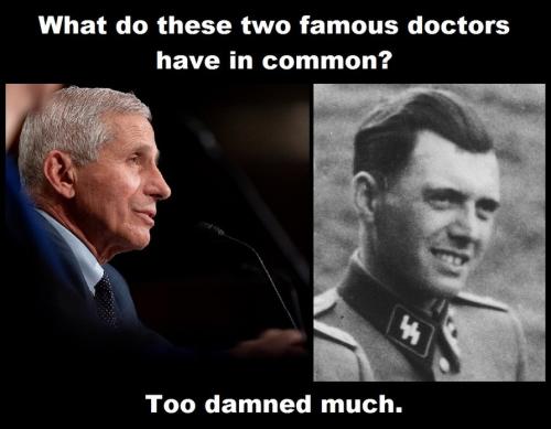 DR MENGELE
