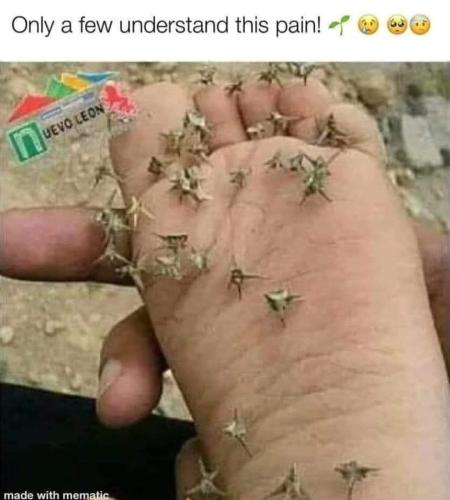 FB_IMG_1709748747956