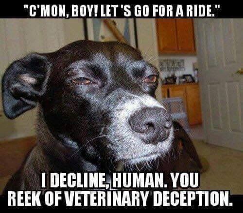 03b3f961b781d0bc904a92583df85a91