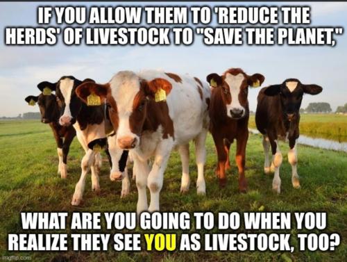 6ac7799937d8020eedf903b3987c66bd