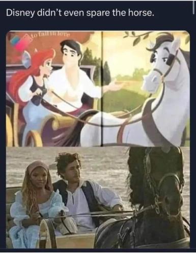 spare the horse