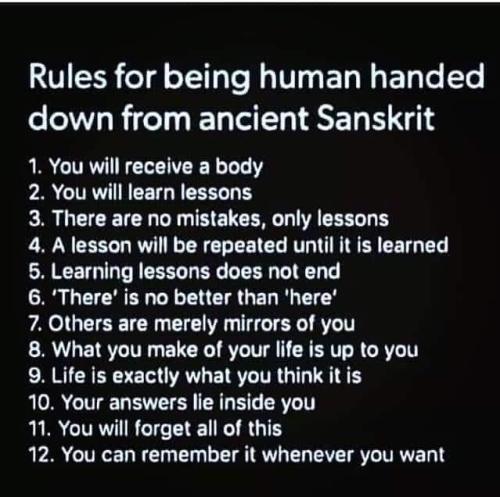 ,       ,     424899179_74878085712