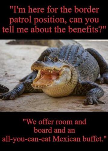 All you can eat Mexican buffet