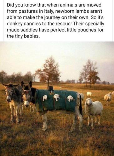 165014567_5661156353909559_531336691654062001_n