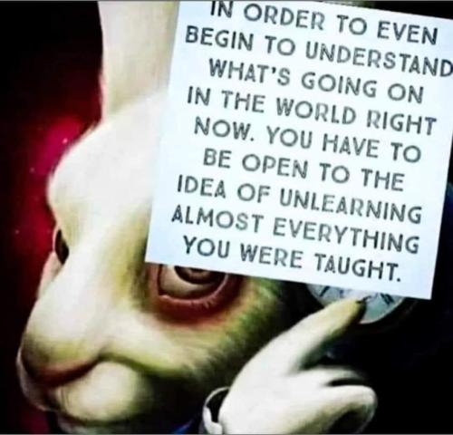 434368692_1181908396252313_7373286296542297105_n