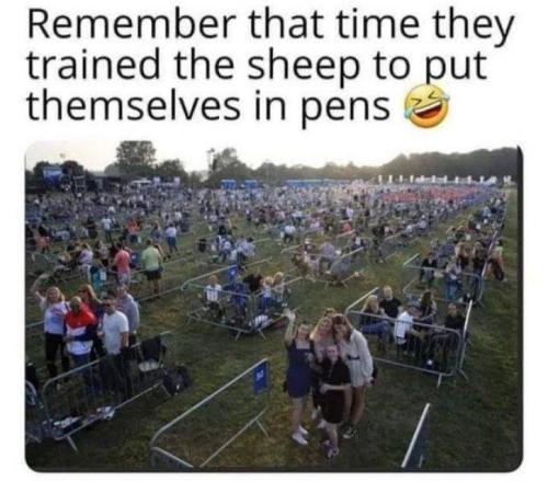 IMG_20240312_220612_393