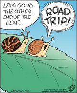 road trip