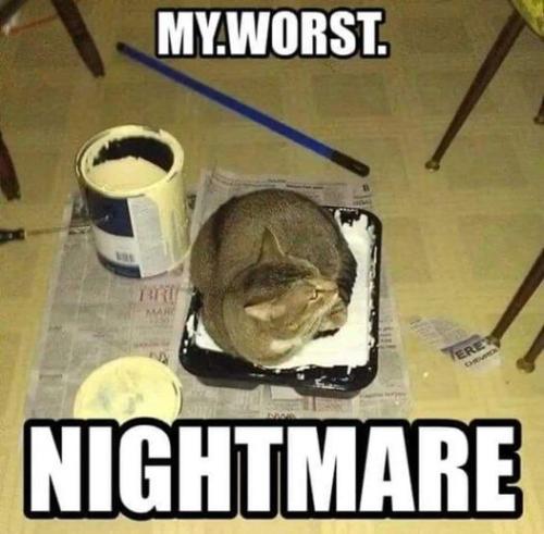 my worst nightmare