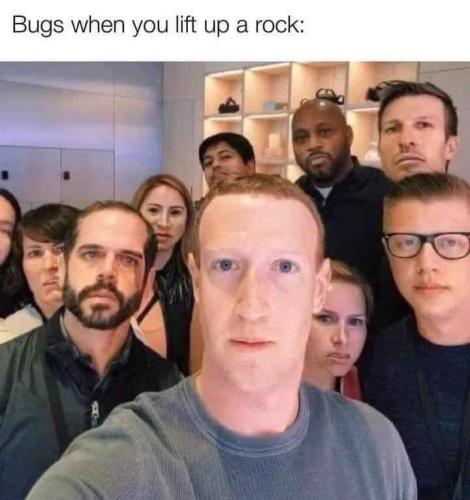 FB_IMG_1711478416460