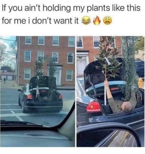 FB_IMG_1709801688905