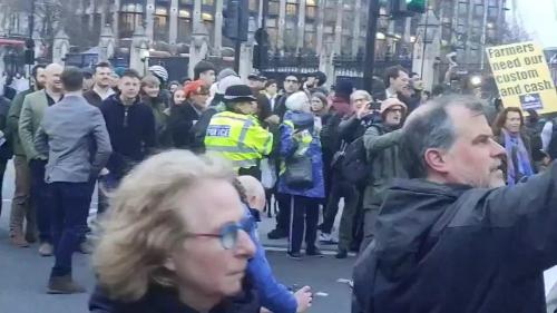 London Farmers Protest video cover