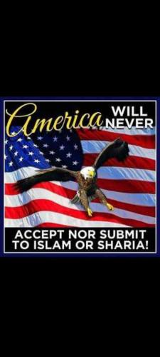 Screenshot_20230711-134823_Gallery