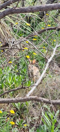 17:51:07 GMT-0500 (CDT)