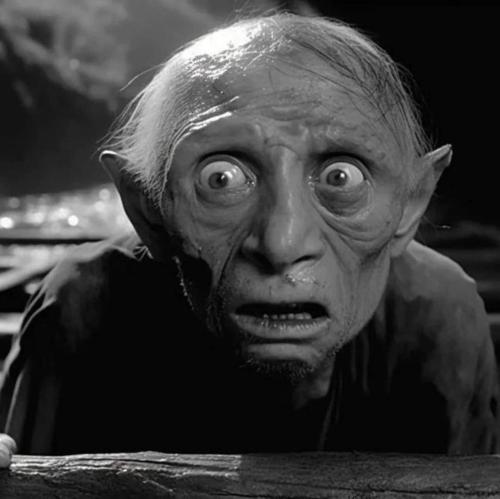 FB_IMG_1711251133870