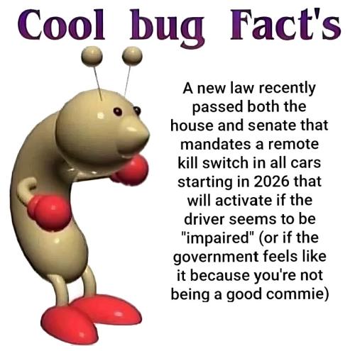 cool bug facts