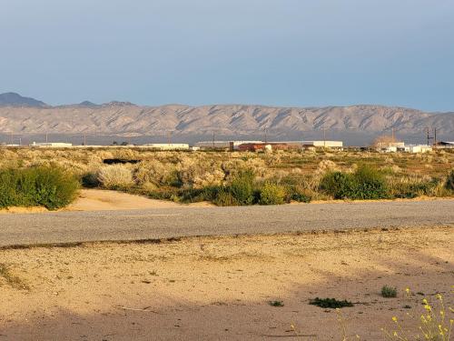 431064505_1305974603432674_5766522947865706057_n