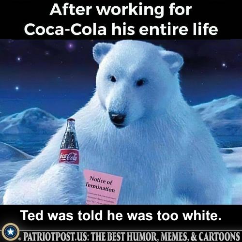 01HQJYBKRVYPYWCN338N4PRD39