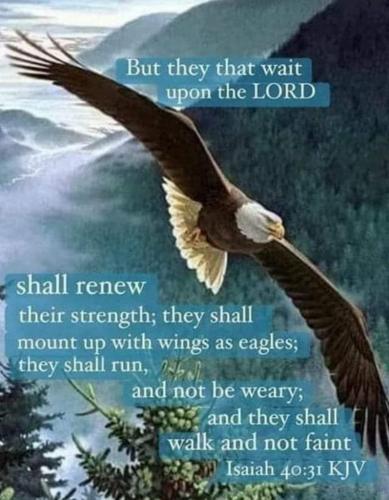 6d8d0faf-861a-424c-9659-c02a4657debb