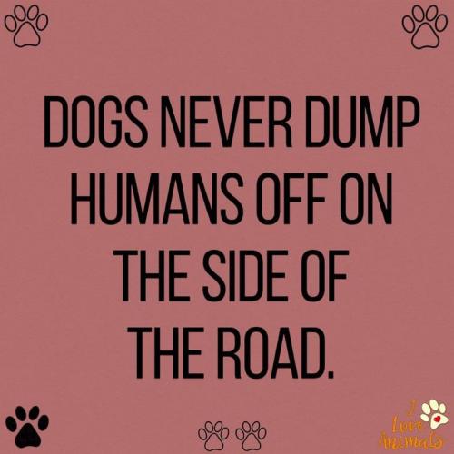 1c184896bcf0a31d60366a52ea021c36