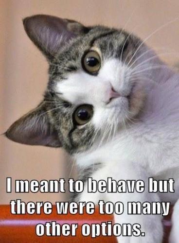 83f224eb62d3ae1e1d87fd43daed01d3