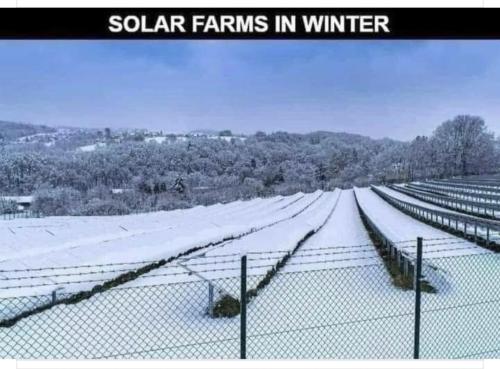 Screenshot_20240320_025437_Facebook