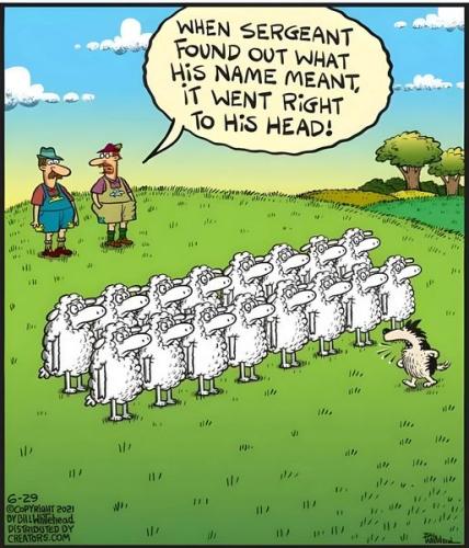 430795369_1576827969816253_5061956847321927985_n