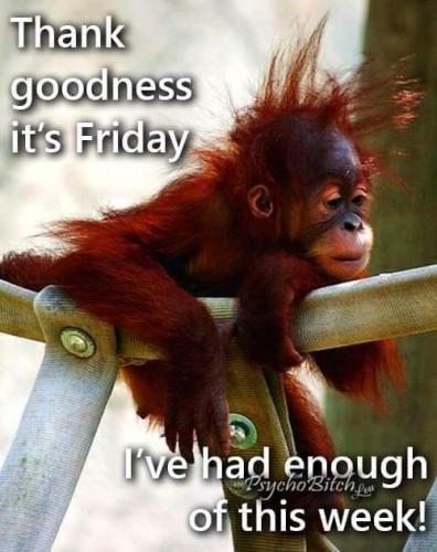 2332226dbab7a43755e5d17c21322760