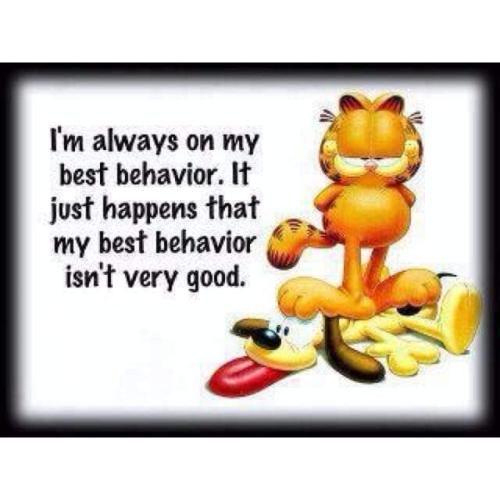 FB_IMG_1710759064394