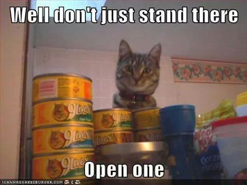 6c8a793d3556681e77250cfb90dfb2a8