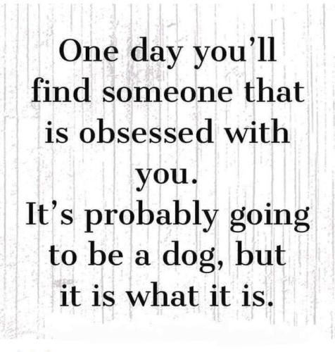 d65f814f2d46fb1e7f57744b7ed91663