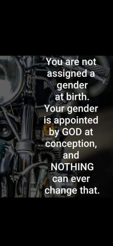 FB_IMG_1711634498189