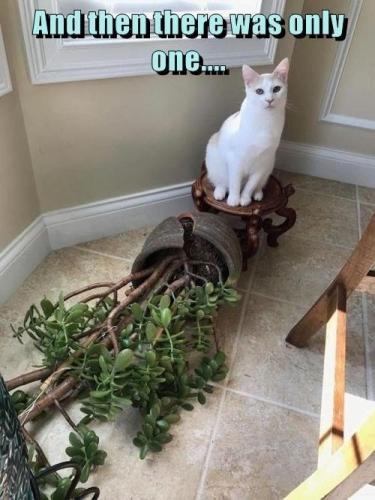 and-then-there-only-one