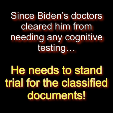 Biden can stand trial