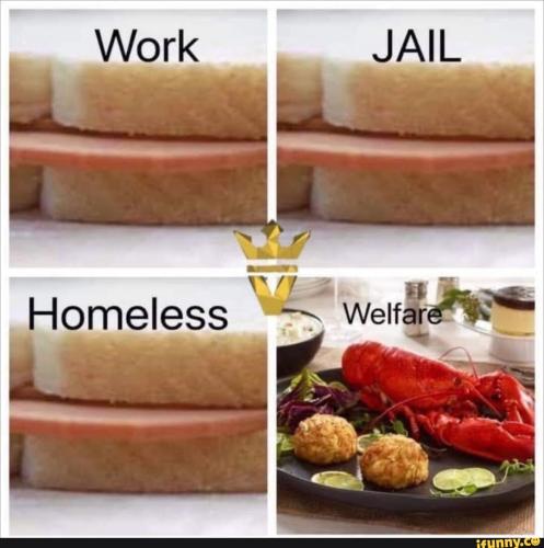 e52347a8184f8e9e368099fd88fe432982a02c5e8e347414dd9813622c881e4a_1